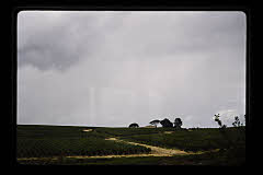 tanSF.C08-02_13()