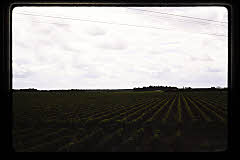 tanSF.C08-02_17()