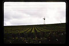 tanSF.C08-02_18()