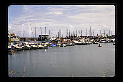 tanSF.C08-02_24()