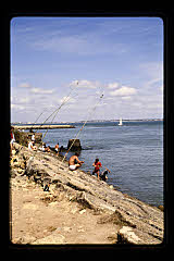 tanSF.C08-02_30()