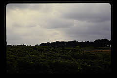 tanSF.C08-04_34()