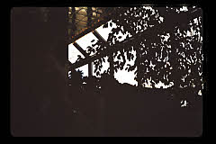 tanSF.C08-11_01()