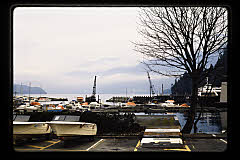 tanSF.C08-12_21()