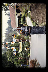 tanSF.C08-12_23()