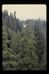 tanSF.C08-12_26()