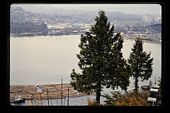 tanSF.C08-12_29()