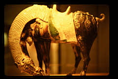 tanSF.C08-13_08()