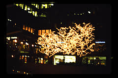 tanSF.C08-13_29()