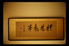 tanSF.C08-20_10()