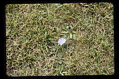 tanSF.C08-22_04()