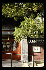 tanSF.C09-05_05()