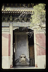 tanSF.C09-05_09()