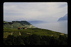 tanSF.C09-06_05()