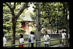 tanSF.C09-16_04()