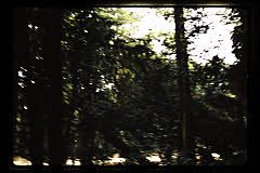 tanSF.C09-22_01()