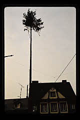 tanSF.C09-25_06()