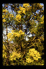 tanSF.C10-09_09()