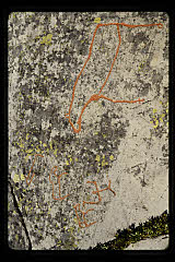 tanSF.C10-14_14()