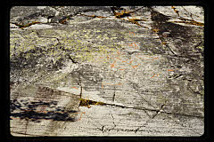 tanSF.C10-14_20()