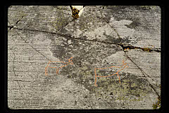 tanSF.C10-14_24()