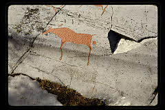 tanSF.C10-14_26()