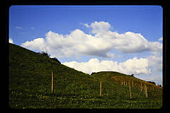 tanSF.C10-18_29()