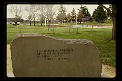tanSF.C10-20_08()