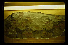 tanSF.C10-23_11()