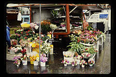 tanSF.C10-23_34()