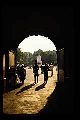 tanSF.C10-24_10()