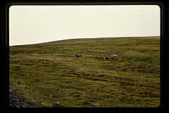 tanSF.C10-27_34()