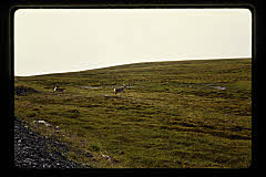 tanSF.C10-27_35()