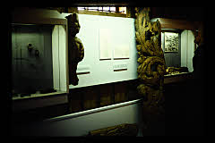 tanSF.C10-28_11()