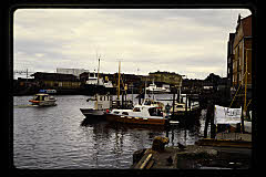 tanSF.C10-29_31()