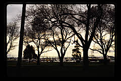 tanSF.C11-04_15()