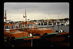 tanSF.C11-04_34()
