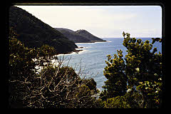 tanSF.C11-05_33()