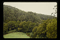 tanSF.C11-05_36()
