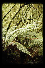 tanSF.C11-05_37()