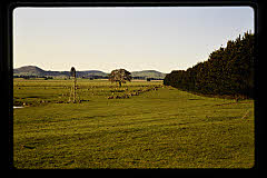 tanSF.C11-07_04()