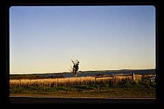 tanSF.C11-07_08()
