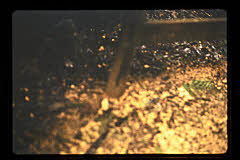 tanSF.C11-09_01()