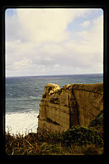 tanSF.C11-09_10()
