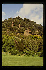 tanSF.C11-10_33()