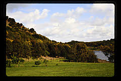 tanSF.C11-10_34()