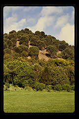 tanSF.C11-10_36()