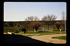 tanSF.C11-11_23()