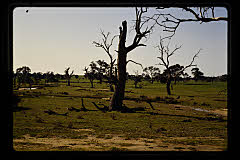 tanSF.C11-11_28()