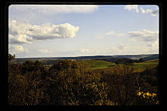 tanSF.C11-14_10()